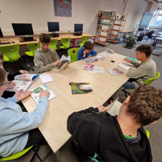 WhatsApp Image 2025-12-12 at 15.04.57 (3)