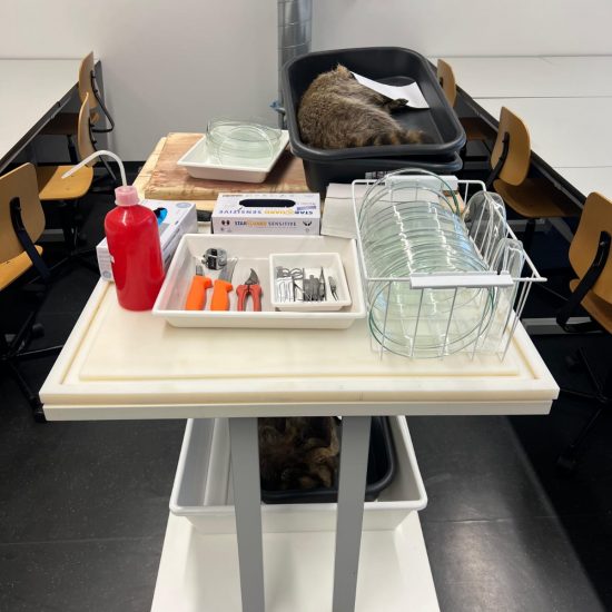 WhatsApp Image 2025-12-19 at 20.43.42 (2) WhatsApp Image 2025-12-19 at 20.43.42 (2)