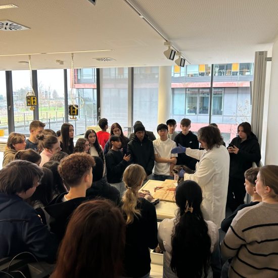 WhatsApp Image 2025-12-19 at 20.43.42 (3) WhatsApp Image 2025-12-19 at 20.43.42 (3)