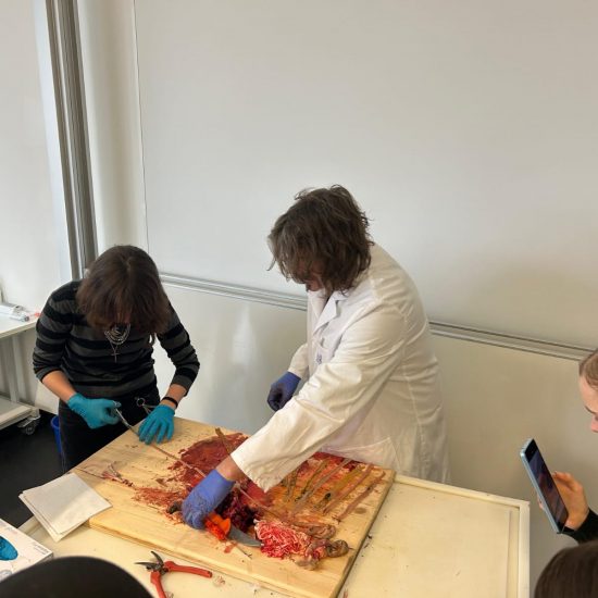 WhatsApp Image 2025-12-19 at 20.43.42 WhatsApp Image 2025-12-19 at 20.43.42