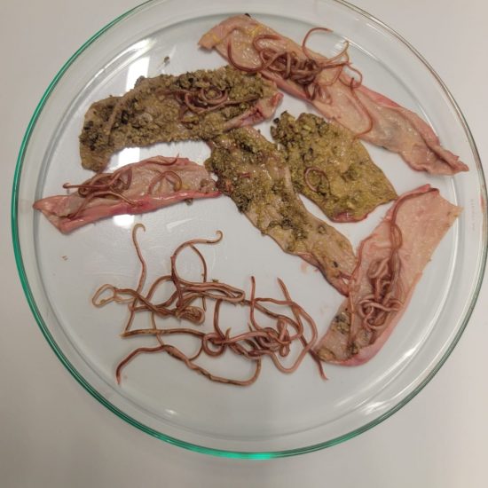 WhatsApp Image 2025-12-19 at 20.43.43 (1) WhatsApp Image 2025-12-19 at 20.43.43 (1)