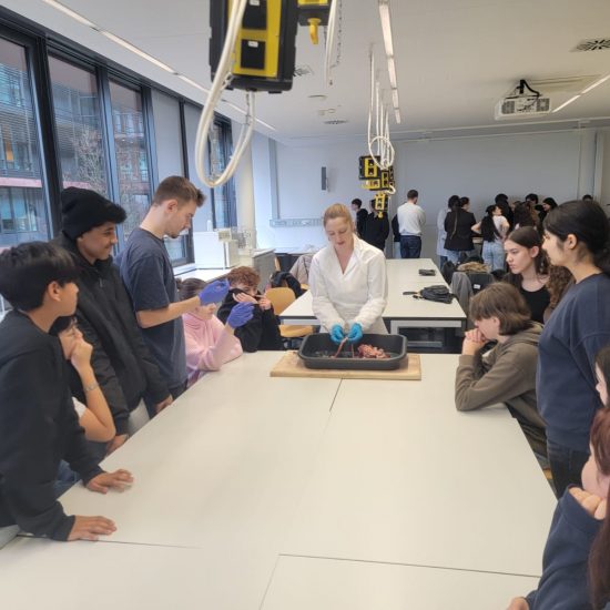 WhatsApp Image 2025-12-19 at 20.43.43 (11) WhatsApp Image 2025-12-19 at 20.43.43 (11)