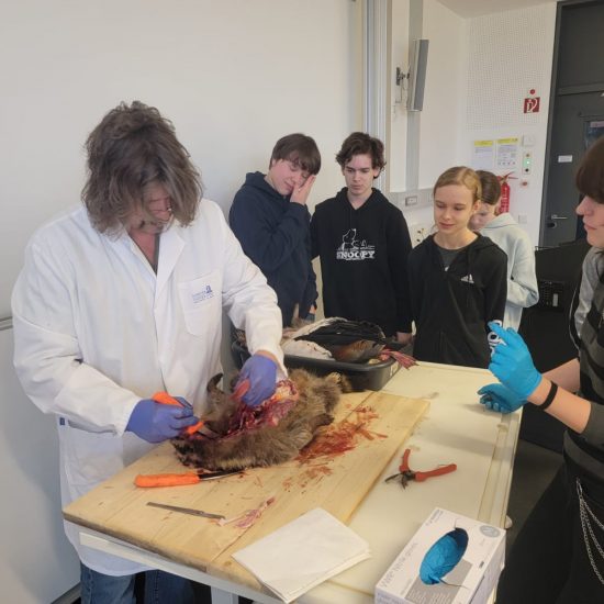 WhatsApp Image 2025-12-19 at 20.43.43 (12) WhatsApp Image 2025-12-19 at 20.43.43 (12)