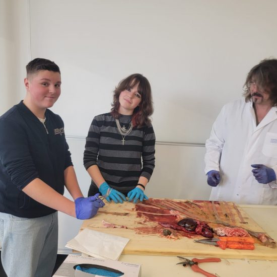 WhatsApp Image 2025-12-19 at 20.43.43 (2) WhatsApp Image 2025-12-19 at 20.43.43 (2)