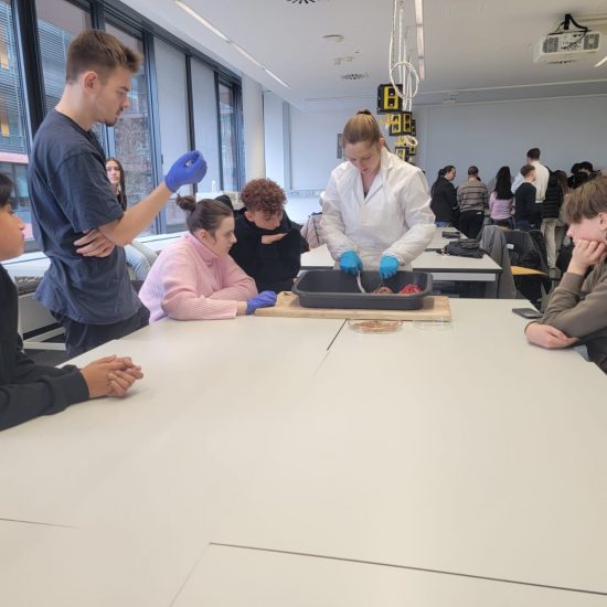 WhatsApp Image 2025-12-19 at 20.43.43 (5) WhatsApp Image 2025-12-19 at 20.43.43 (5)