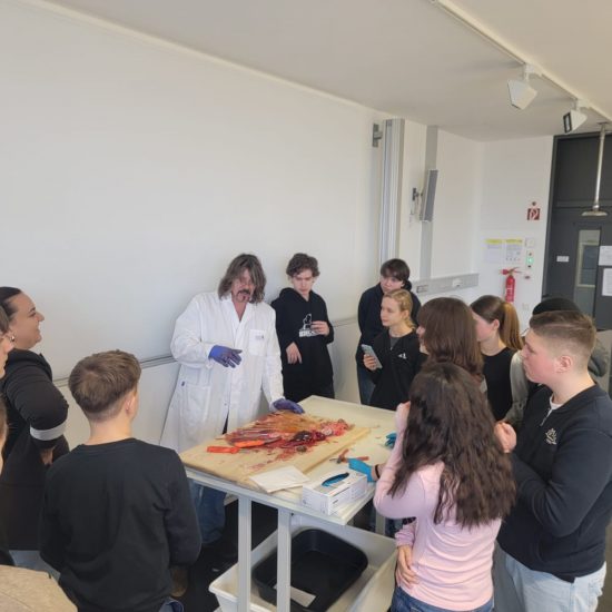 WhatsApp Image 2025-12-19 at 20.43.43 (6) WhatsApp Image 2025-12-19 at 20.43.43 (6)