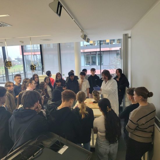 WhatsApp Image 2025-12-19 at 20.43.44 (2) WhatsApp Image 2025-12-19 at 20.43.44 (2)