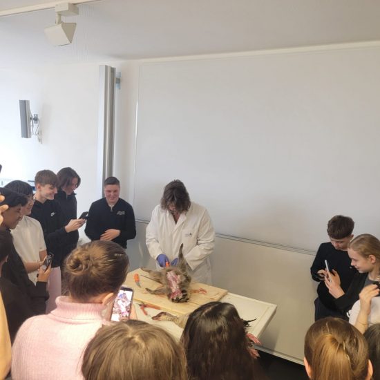 WhatsApp Image 2025-12-19 at 20.43.44 (4) WhatsApp Image 2025-12-19 at 20.43.44 (4)