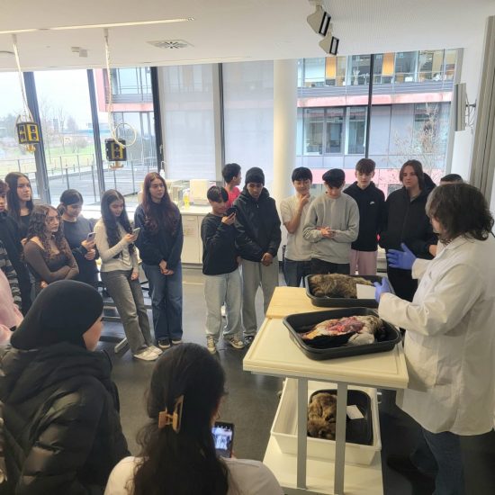 WhatsApp Image 2025-12-19 at 20.43.44 (5) WhatsApp Image 2025-12-19 at 20.43.44 (5)