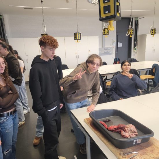 WhatsApp Image 2025-12-19 at 20.43.44 (6) WhatsApp Image 2025-12-19 at 20.43.44 (6)