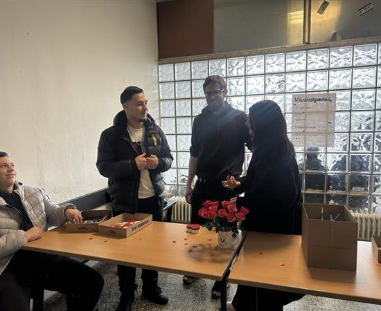 WhatsApp Image 2026-02-18 at 21.09.46 (3) WhatsApp Image 2026-02-18 at 21.09.46 (3)