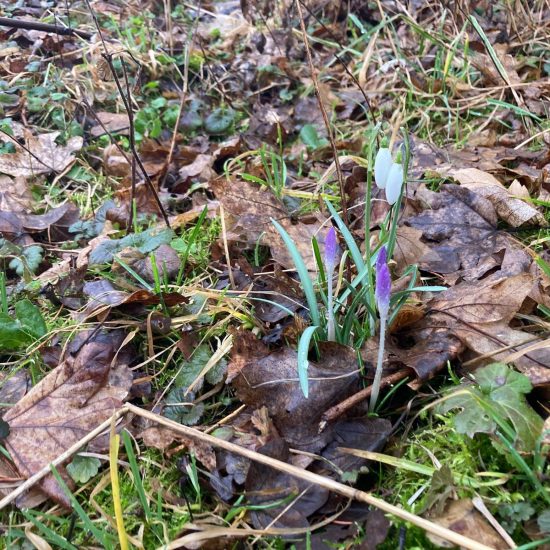 WhatsApp Image 2026-02-24 at 12.49.22 (1) WhatsApp Image 2026-02-24 at 12.49.22 (1)