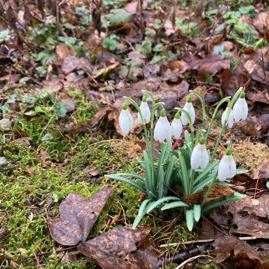 WhatsApp Image 2026-02-24 at 12.49.22 (2) WhatsApp Image 2026-02-24 at 12.49.22 (2)