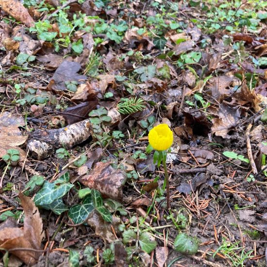 WhatsApp Image 2026-02-24 at 12.49.22 (3) WhatsApp Image 2026-02-24 at 12.49.22 (3)