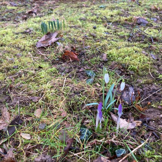 WhatsApp Image 2026-02-24 at 12.49.22 WhatsApp Image 2026-02-24 at 12.49.22