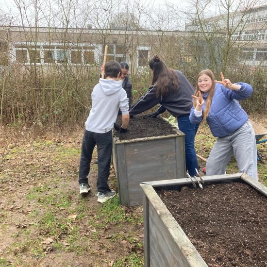 WhatsApp Image 2026-03-03 at 13.48.48