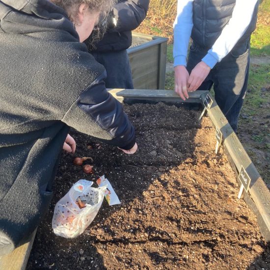 WhatsApp Image 2026-03-03 at 13.48.49 (2)