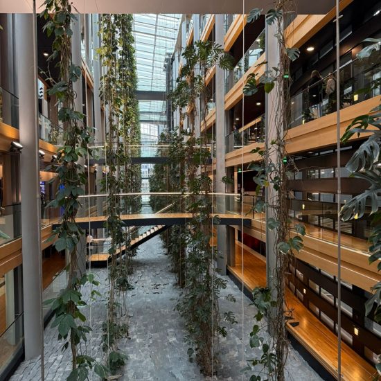 WhatsApp Image 2026-03-10 at 17.41.53 (1)