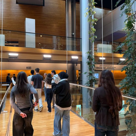 WhatsApp Image 2026-03-10 at 17.41.53