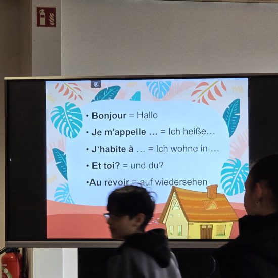 WhatsApp Image 2026-03-14 at 10.26.31 (1)