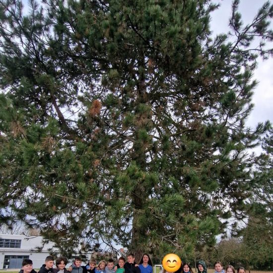 WhatsApp Image 2026-03-18 at 11.20.36 (1) WhatsApp Image 2026-03-18 at 11.20.36 (1)