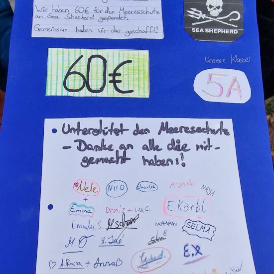 WhatsApp Image 2026-03-18 at 11.20.36 WhatsApp Image 2026-03-18 at 11.20.36