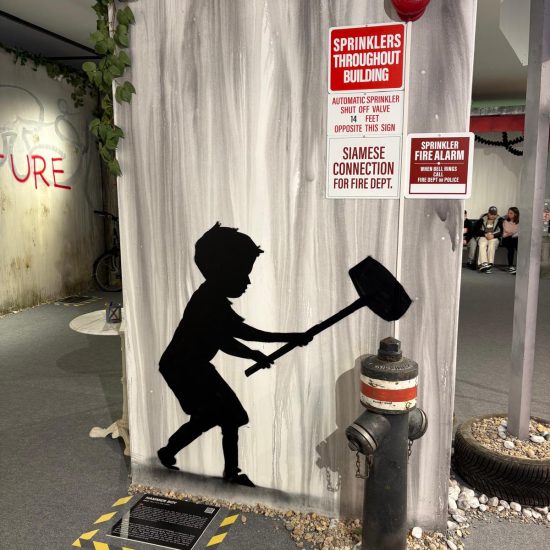 WhatsApp Image 2026-03-21 at 13.30.11 (16) WhatsApp Image 2026-03-21 at 13.30.11 (16)