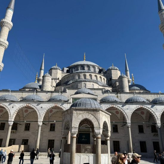 WhatsApp Image 2026-04-28 at 10.56.50