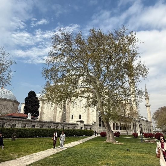 WhatsApp Image 2026-04-28 at 10.56.51 (5)