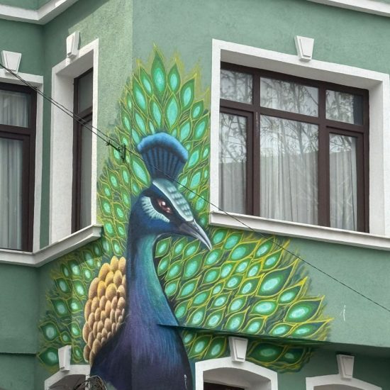 WhatsApp Image 2026-04-28 at 10.56.51 (9)